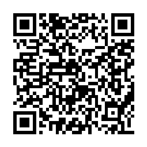 现在被白芷璃这样一说从未有过恋爱经验的苏雪二维码生成