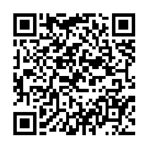 现在见到这么一件上品先天灵宝自然是无法忍受这个诱惑了二维码生成