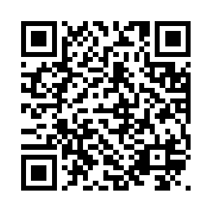 现在论坛上一定把咱们骂到狗血淋头了吧二维码生成