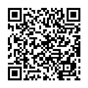 现在谈计划贝海也只能说蓝鳍金枪鱼别的鱼不太谈的了啊二维码生成