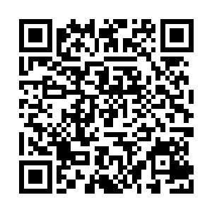 现在贝海一听船和位子这两事情就有点儿打哆嗦二维码生成