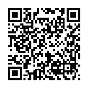 现在贝海也只得希望这条哥斯拉没有到处串门子的习惯二维码生成