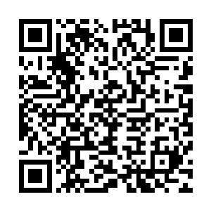 现在费氏庄园早已经拒绝给任何红酒企业提供优质的原料了二维码生成