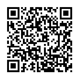 现在赵长枪已经将王诗韵当成研究兔子的神人了二维码生成