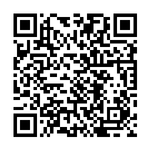 现在跟你倒是发奋图强在岳兰做出来的规模前景都很不错二维码生成