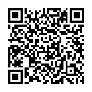 现在还是最关注荒天塔究竟会不会成功渡过这次的道劫二维码生成