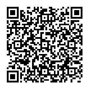 现在这一切都建立在这个情报真实而且肖恩一直留在那里没有离开的情况下才能成立二维码生成