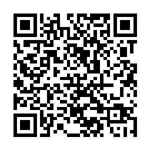 现在这两个人身上的某种力量就全部在这个光辉之果内二维码生成
