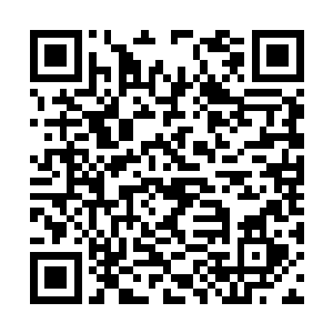 现在这个时候就不要有其他什么人过去打扰王莉了二维码生成