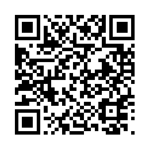 现在这个时候把他们两个人给放出去二维码生成