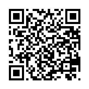 现在这个阶段也不会对我做些什么事情二维码生成