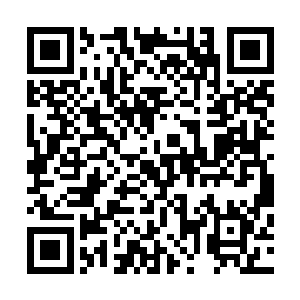 现在这个颜家最年轻的小家伙已经是王世子最铁杆的粉丝了二维码生成