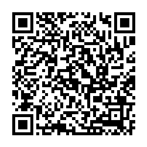 现在这些剩下的这些都是刚刚炼制过丹药不久或者正筹备炼制丹药之人二维码生成
