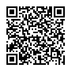 现在这几个古武世家之中实力最强的就是西门世家二维码生成