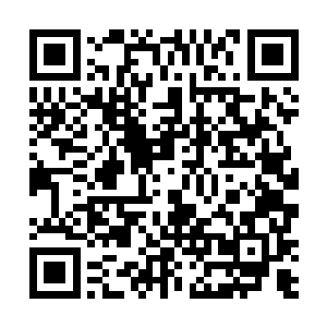 现在这几个月你看看网上的狗坛子里最火的就是这狗了二维码生成