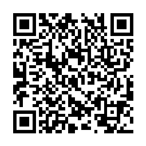 现在这后宫里就连个宫女都敢在哀家面前指手划脚二维码生成