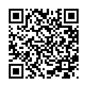 现在这帮家伙应该早就已经跪下来了吧二维码生成