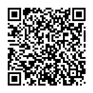 现在这座城堡里盘踞着的那群吸血鬼和马文在死寂丘陵遇到的那群不同二维码生成