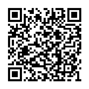 现在这样暴怒的几个人怎么可能还指挥的了大军二维码生成