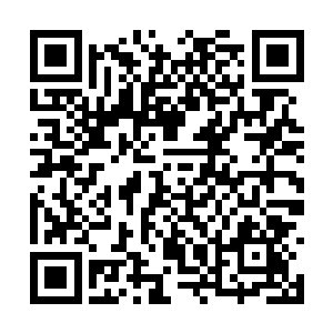 现在这里的阵仗是用来防御司空南和林恶禅他们的二维码生成