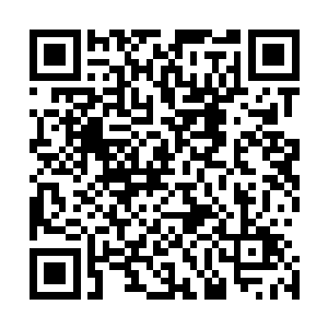 现在这里附近所有的街道已经完全被城主府的人守卫起来了二维码生成