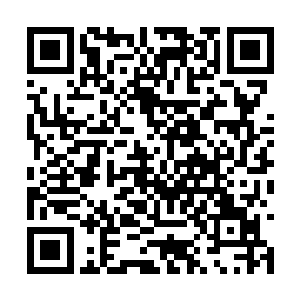 现在进入幻阵中我们龙族的真实之眼也会大打折扣二维码生成