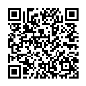 现在远处依旧冲天的熊熊大火似乎都在说明这个问题二维码生成