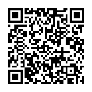 现在连一个连青山书院都没有进入的小子也来造次二维码生成