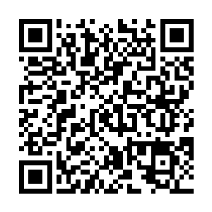 现在连华国功夫的泰山北斗少林都不敢迎接别人的挑战二维码生成