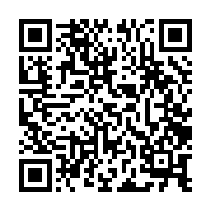 现在连巫族的圣地不死神山都掌握在他眼前这位大王手中二维码生成