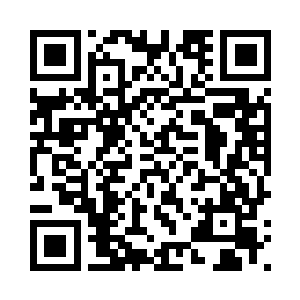 现在迪戈就把贝海奉为了指路明灯二维码生成