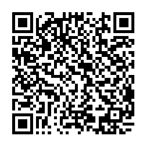 现在那些透明的冰锥在神火符的照耀下反着寒光就这样直直的朝我射了过来二维码生成