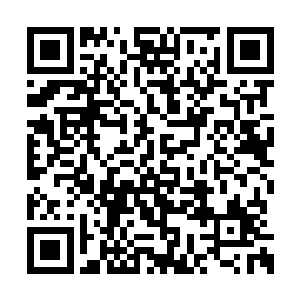 现在部落倒是没有一个男人拥有多个伴侣的情况二维码生成
