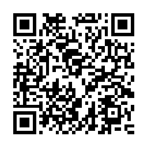 现在都纷纷以作战不力等罪名消减了很大一部分的领地和权益二维码生成