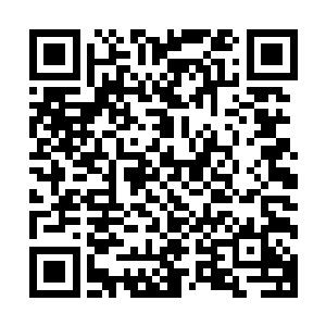 现在银行里的柜员不都是洁白的短袖衬衫里面直接就是罩罩吗二维码生成
