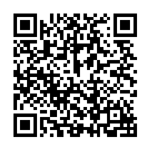 现在陈挂面又亲自出来澄清以前他放出来的那些话都是谣言二维码生成