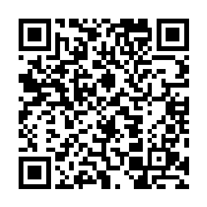 现在雷天的那块令牌已经有十分之一的地方被染成了红色二维码生成