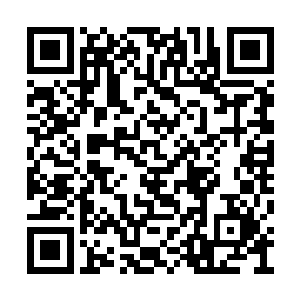 现在面对这个实力或许更高强的人也是浑然不惧二维码生成