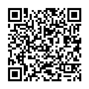 现在韩风是真的有把握将那头二尾猫雷兽留下性命二维码生成