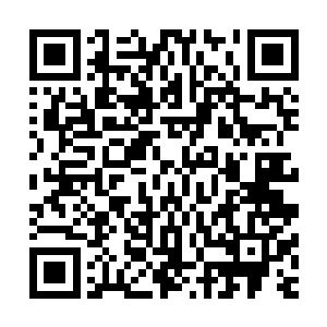 现在韩风觉得极品圣果和极品圣器难以炼化吸收和发挥出实力二维码生成