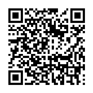现在风夜笑连给温晴空继续出头的理由都找不到了二维码生成