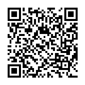 现在骰盅里三颗骰子的点数应该是两个6点和一个5点二维码生成