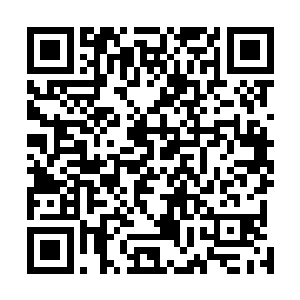 现在鬼王的人几乎全部都已经被苏凡还有白子河给摆平了二维码生成