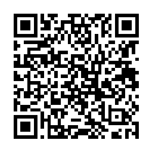 现在龙傲天可是要好好的给龙家的人选一部好的功法二维码生成