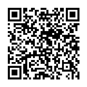 现在龙傲天形成的龙已经不是原来玄天大陆的蜥蜴龙二维码生成