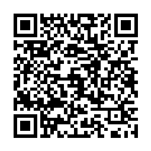 现在龙傲天的实力已经渐渐的有些脱离寰宇天界了二维码生成