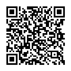 现在龙傲天竟然为了他们两个跟客卿长老对上了二维码生成