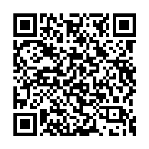 现在龙傲天竟然拿出了一尊如此至宝赐予了孟芸二维码生成