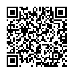 现在龙傲天终于体会到了那种帝君之下仙帝为蝼蚁的意思了二维码生成