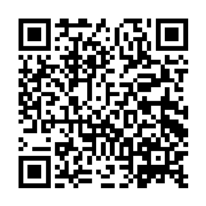 现在龙傲天要回去看看到底向前上去之后会发生什么事情二维码生成